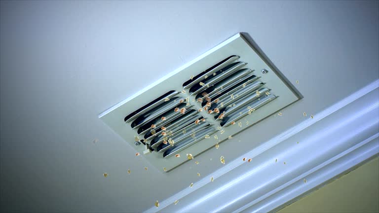 Best Best Air Duct Cleaning Company  in Krum, TX